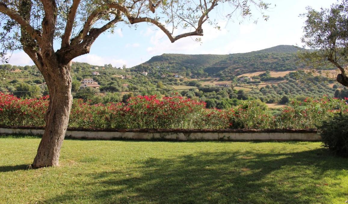B&B Kapi Country Alghero Zewnętrze zdjęcie