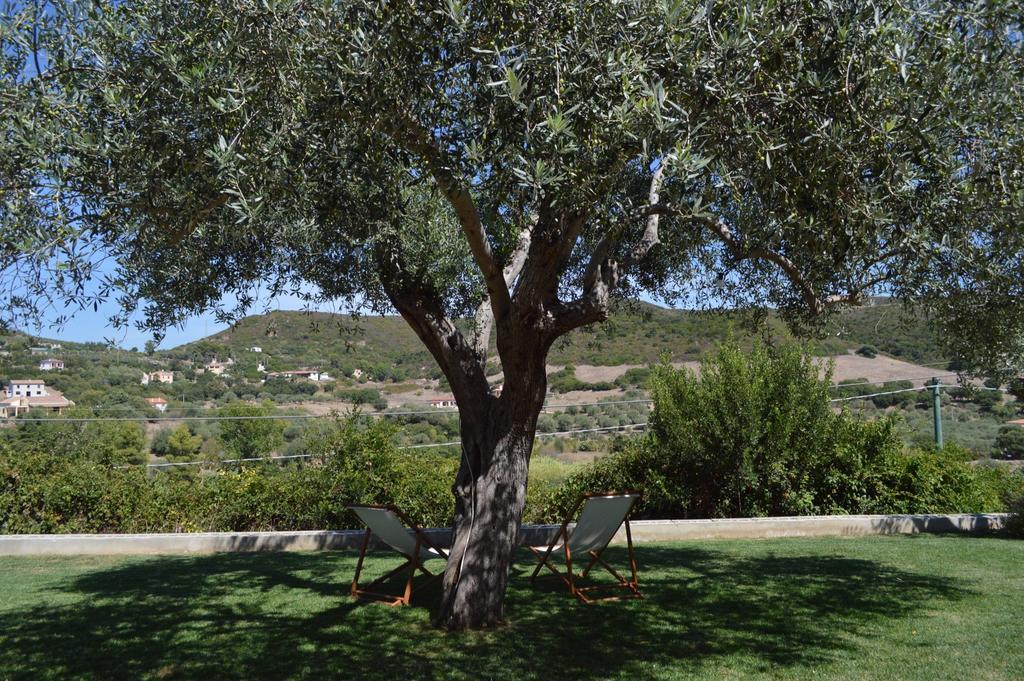 B&B Kapi Country Alghero Pokój zdjęcie