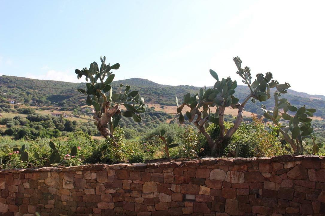 B&B Kapi Country Alghero Zewnętrze zdjęcie